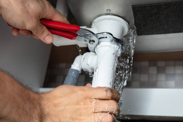 Best Carpet water damage restoration  in Nicholson, MS