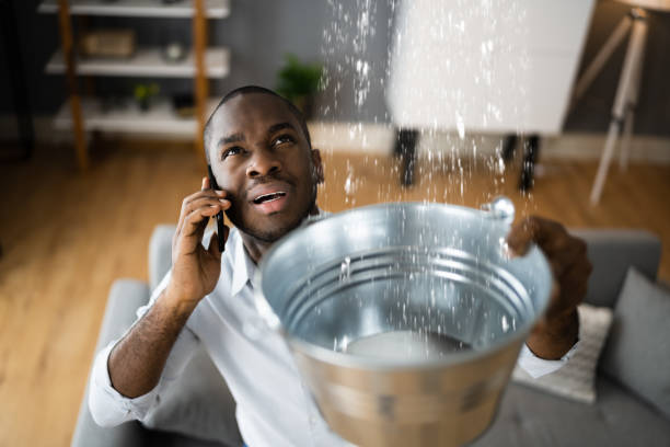 Best Professional water damage repair  in Nicholson, MS
