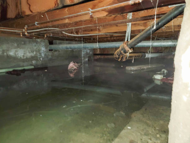Water damage restoration mold remediation in Nicholson, MS