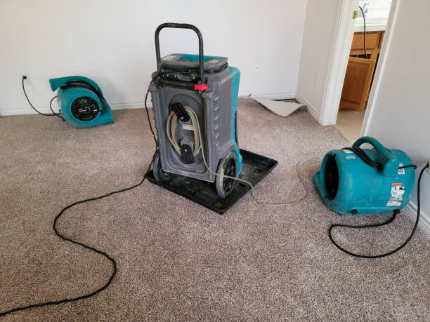 Best Residential water damage restoration  in Nicholson, MS