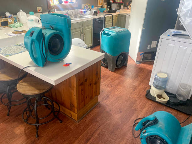 Best Mold removal after water damage  in Nicholson, MS