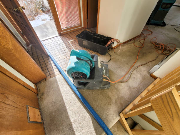 Best Water damage contractors near me  in Nicholson, MS