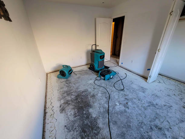 Best Commercial water damage restoration  in Nicholson, MS