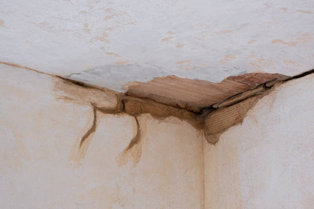 Best Water damage restoration near me  in Nicholson, MS