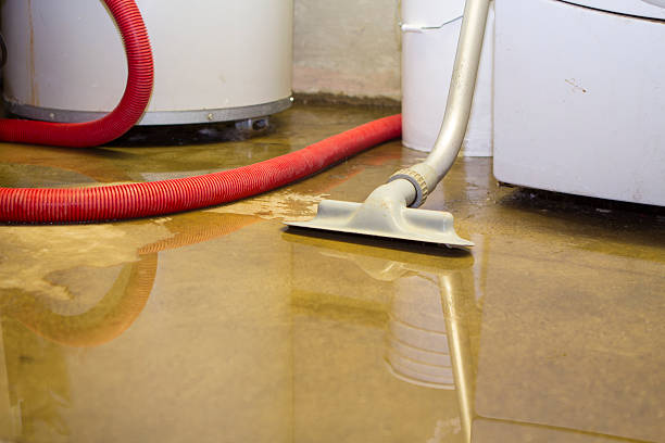 Best Water damage cleanup near me  in Nicholson, MS