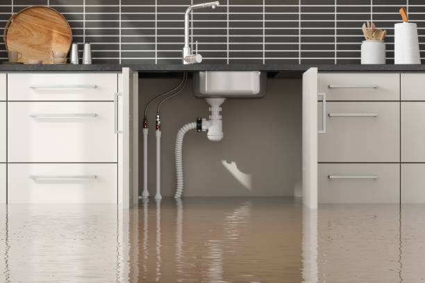 Professional Water damage restoration in Nicholson, MS