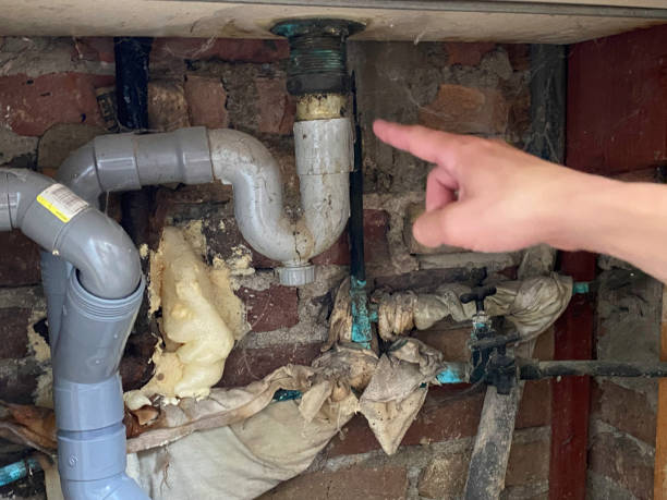 Best Water damage restoration process  in Nicholson, MS